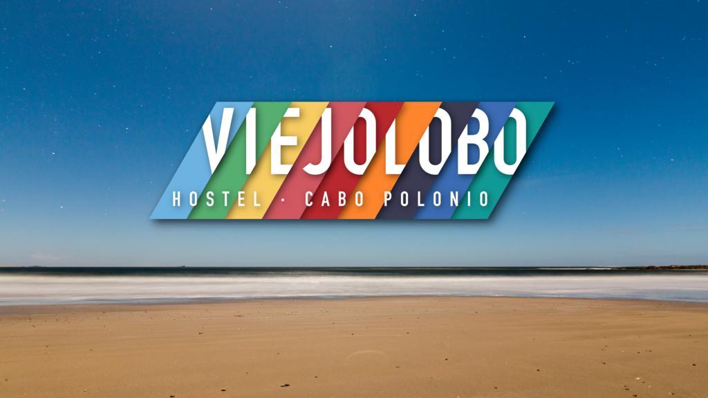 Viejo Lobo Cabo Polonio